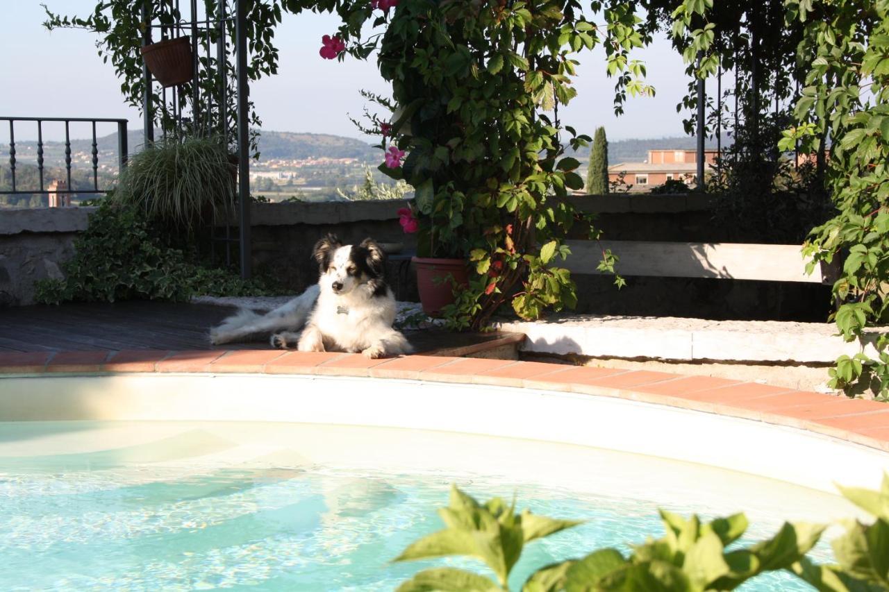 B&B Poggio Caiar Caprino Veronese Zewnętrze zdjęcie